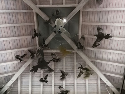 Messecounter, Profilbuchstaben