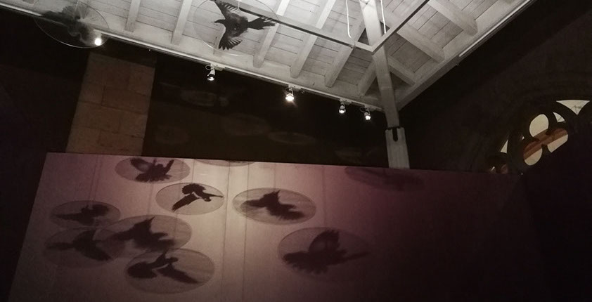 Messecounter, Profilbuchstaben