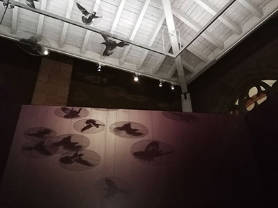 Messecounter, Profilbuchstaben