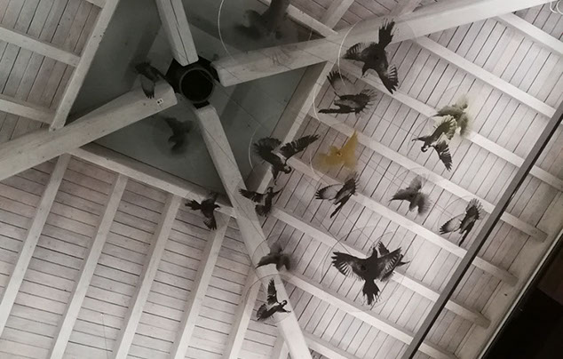 Messecounter, Profilbuchstaben