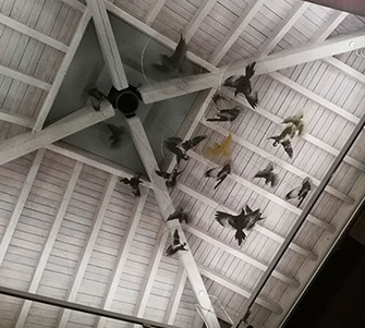 Messecounter, Profilbuchstaben