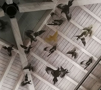 Messecounter, Profilbuchstaben