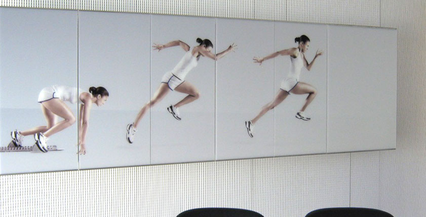 Individueller Glasdruck, Glas, Möbelbau, Druck auf Glas, Glastüren, Möbel aus Glas