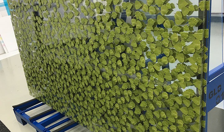 Fotorealistischer Druck auf Glas, Spritzschutzgläser