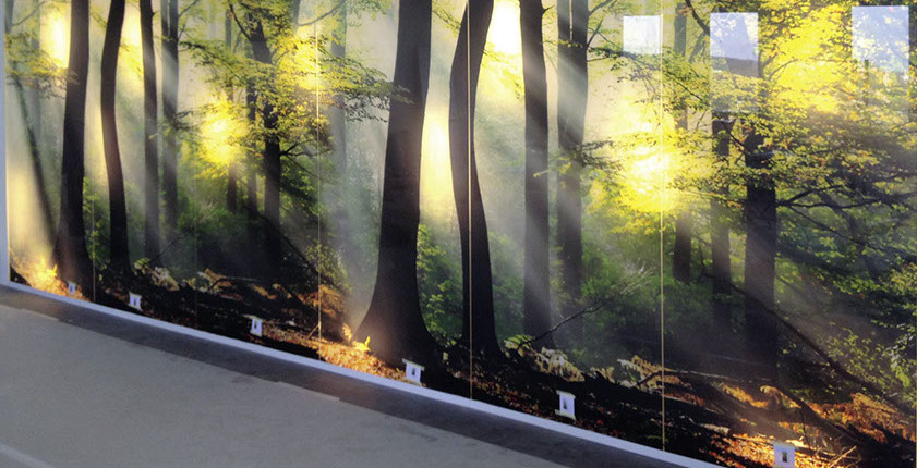 Glaswand, Verkleidung aus Glas, Rückseitiger Glasdruck auf Wandpabele, Küchenrückwand aus Glas, Druck von Spritzschutzwänden