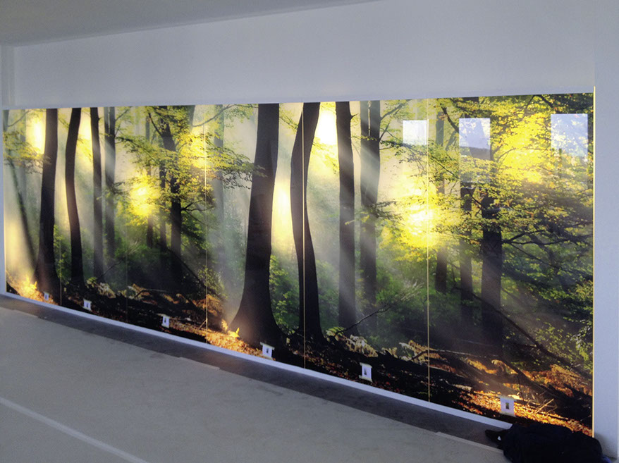 Glaswand, Verkleidung aus Glas, Rückseitiger Glasdruck auf Wandpabele, Küchenrückwand aus Glas, Druck von Spritzschutzwänden