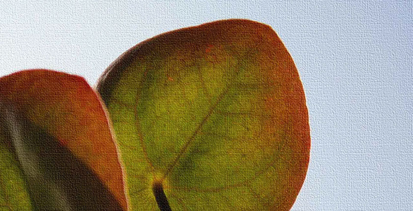 Keillahmen, bedruckte Keilrahmen, Keilrahmenbild, Keilrahmen drucken lassen, große Keilrahmenbilder, Leinwandbilder, Leinwand drucken lassen